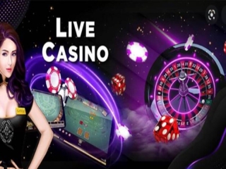 DB Live Casino - Sảnh cược hấp dẫn với đa dạng tựa game