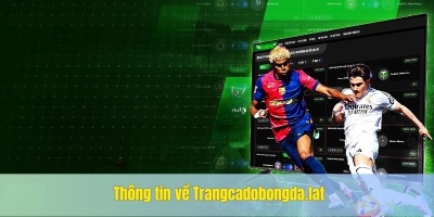 Lý do trang cá độ bóng đá Trangcadobongda.lat được yêu thích